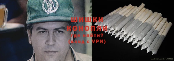 дмт Арсеньев