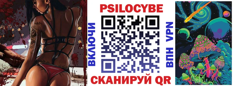 Псилоцибиновые грибы мухоморы  купить наркотики цена  Суджа 