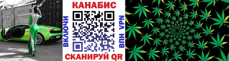 Конопля план  Суджа 